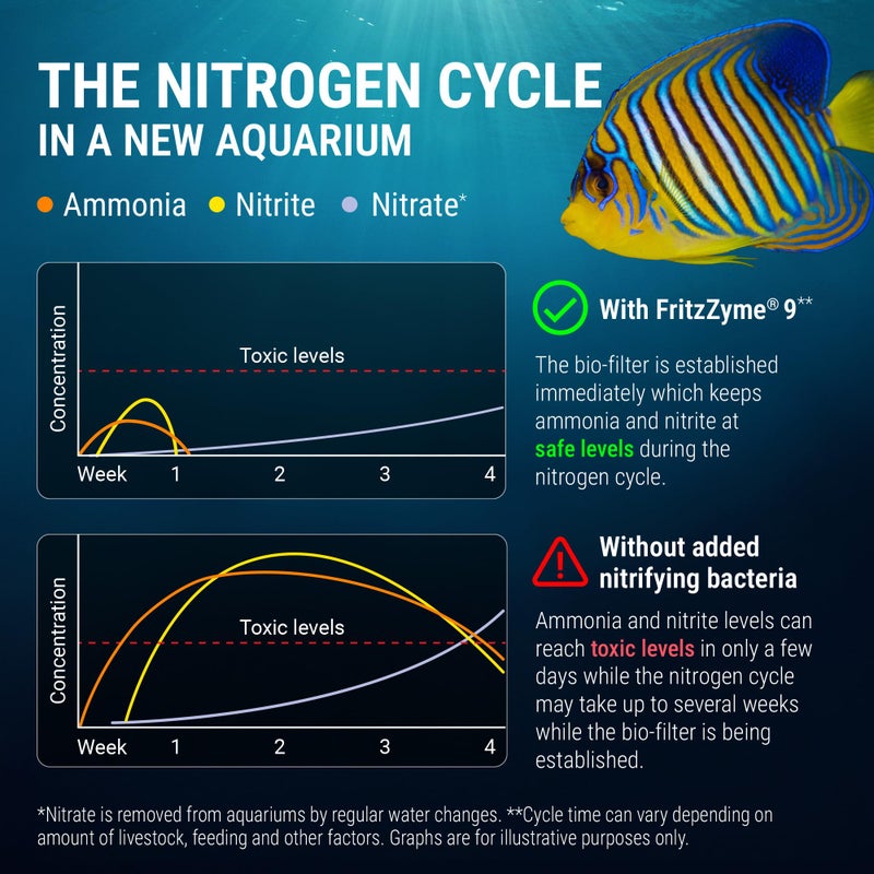 Fritz Aquatics FritzZyme 9 Live Nitrifying Bacteria Naturally Removes Amonia & Nitrite for Saltwater Fish (32-Ounce) - Image 5